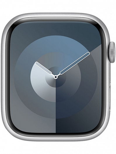 Смарт-часы Apple Watch 9 GPS 41mm (Серебряный)