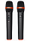 Микрофонный комплект JBL UHF Microphone-300 Черный