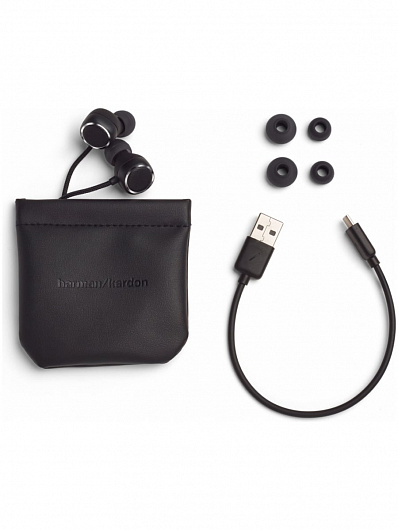 Беспроводные наушники Harman Kardon Fly BT Earphone Черный