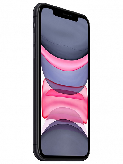 Apple iPhone 11 64 Гб (Черный)