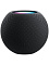 Умная колонка Apple HomePod mini Серый