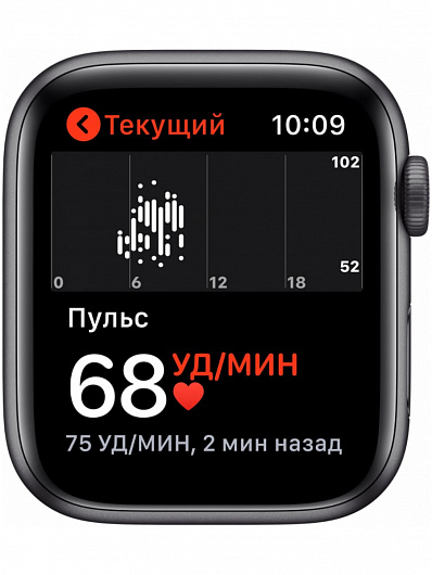 Смарт-часы Apple Watch SE 44mm (Серый космос)